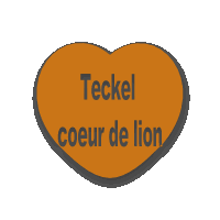 COEUR DE LION COEUR DE LION